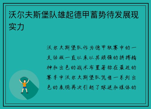 沃尔夫斯堡队雄起德甲蓄势待发展现实力